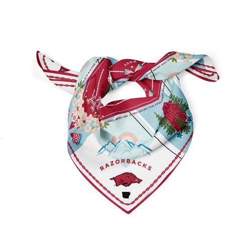 Arkansas Razorback Scarf